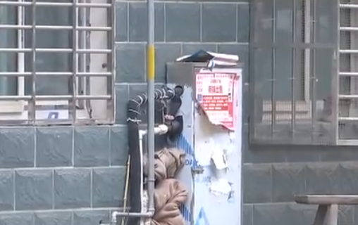 自來(lái)水管道保溫電伴熱帶，冬季管道防凍新寵(圖2)